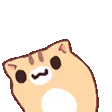 nko_wiggle