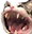SCchomp