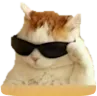 catcool