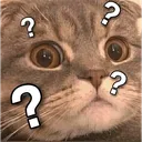 Whycat whycat Discord Emoji