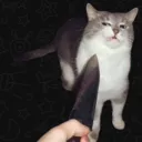 knife