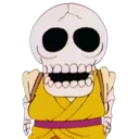 KrillinSkull KrillinSkull