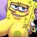 spongetits