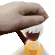 PetRain