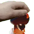 PetGunant