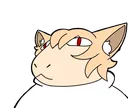 necoarcguh necoarcguh