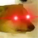 dogredeyes