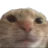 Neutralcat neutralcat Discord Emoji