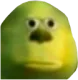 ShrekStare