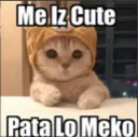 Cute_Patalo