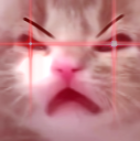 BLEBB Discord emoji