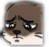 OtterSadge