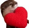 OtterHeart2