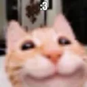 catcute catcute