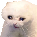 zyCATwat Discord emoji