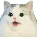 zyCATcatsurprised Discord emoji