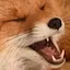 LolFox