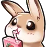 bunny_sip