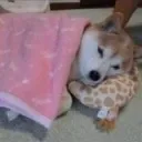 blankymode