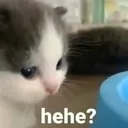 MCh_ConfusedHehe