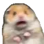 Shooketh