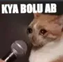 rd_Kya_bolu_ab
