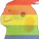 lgbt_birb_gay