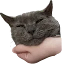 deweyScritch