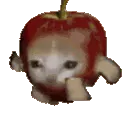 cat_cry