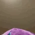 WxS_RuiNesoJumpscare WxS_RuiNesoJumpscare