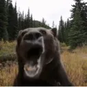 baer