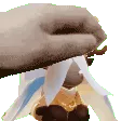 PetSimi
