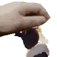 PetOwari