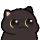 cat_pop