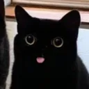 catt_blehh Discord Emoji