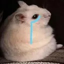 hampy