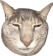 whythelongface Discord emoji