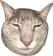 whythelongface