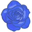 harose