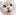 :ScaredyCat: