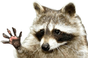 TPwave Discord emoji