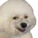DogHehe Discord emoji