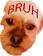 DogBruh Discord emoji