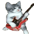 CatGuitar