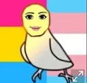 borb