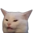 catt