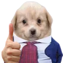 thumbsupbuddy