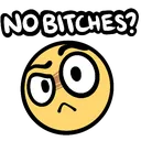 nobitches