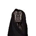 emoji_27