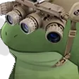 nodsfrog